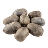 黑土豆可做种子紫土豆种孑带芽种植10 原种紫色洋芋种籽马铃薯5斤